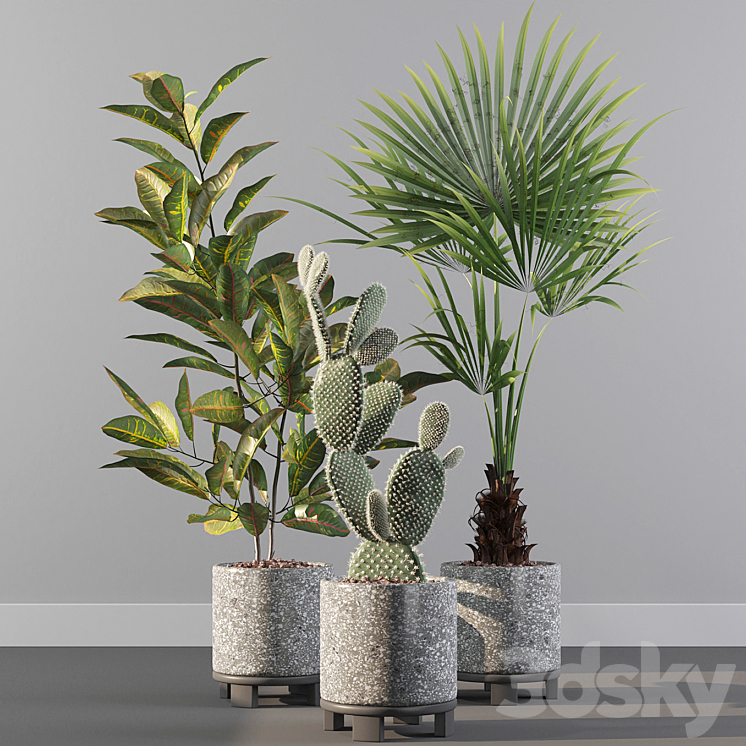 Plants collection 056 3DS Max - thumbnail 2