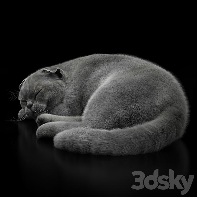 CAT 6 VRay