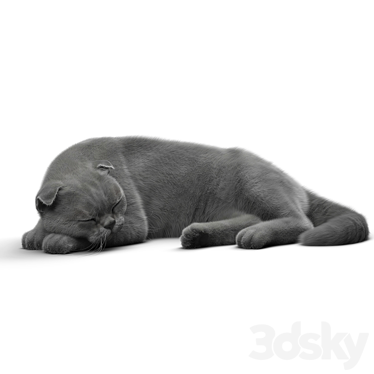 CAT 6 VRay 3D Model
