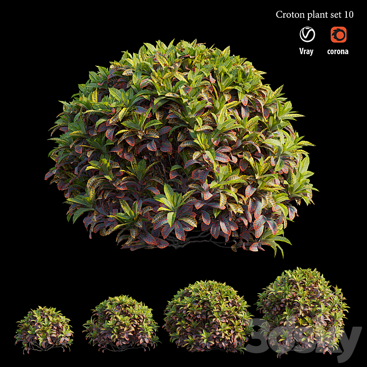 Croton plant set 10 3DS Max - thumbnail 1