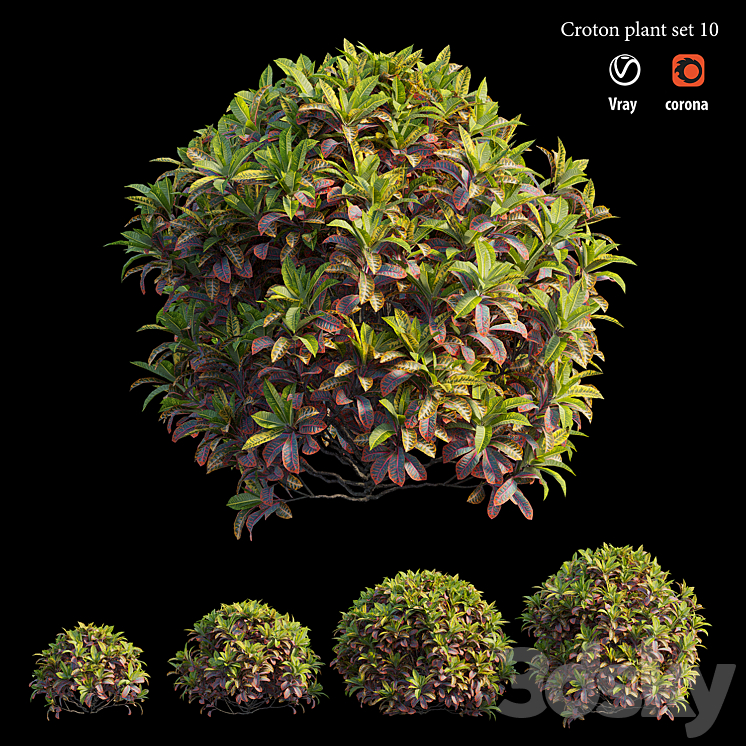 Croton plant set 10 3DS Max - thumbnail 2