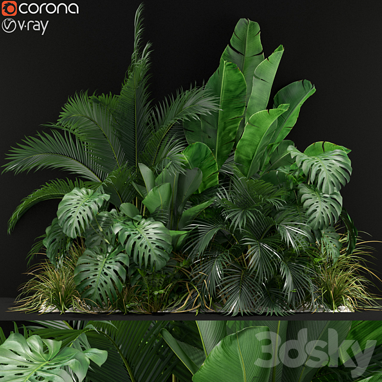 Plants collection 357 3DS Max - thumbnail 1