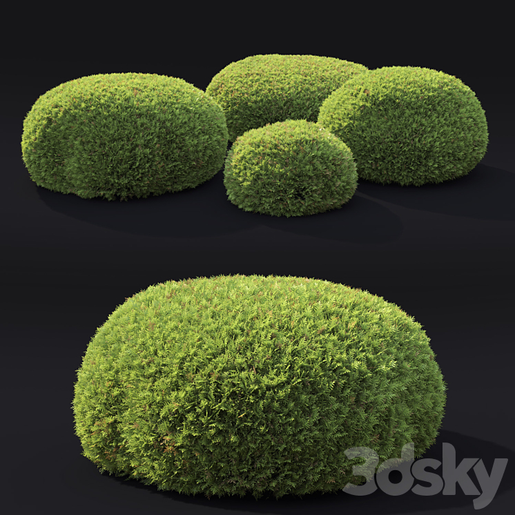 Juniperus Globe 3D Model