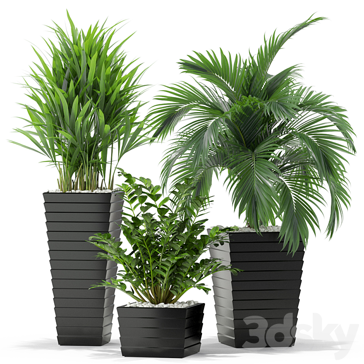 Plants collection 371 3DS Max - thumbnail 2