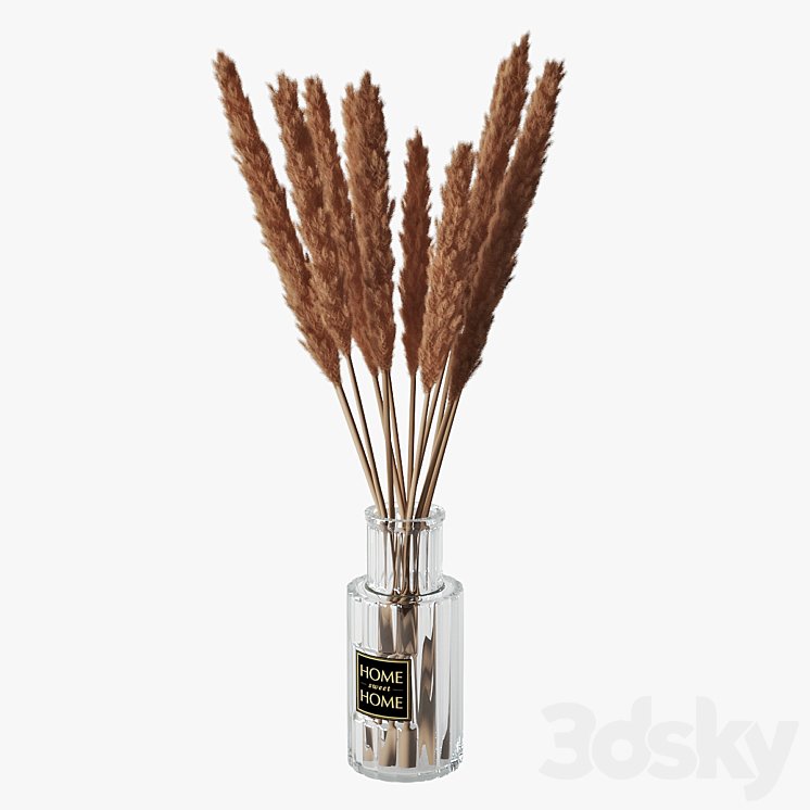 Pampas grass 05 3D Model