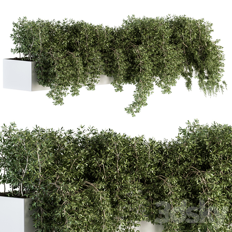 ivy plants in box – Outdoor Set 80 3DS Max - thumbnail 1