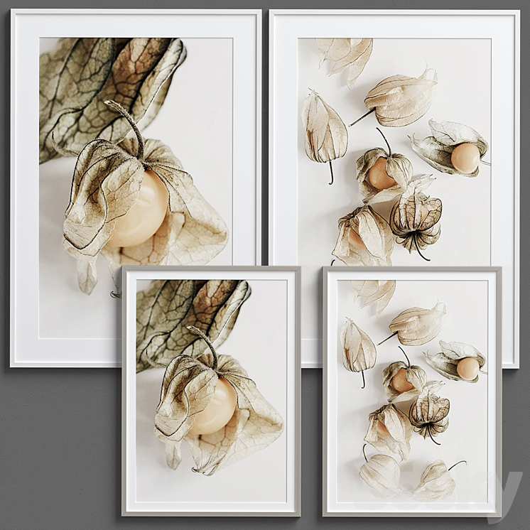Framed Print P-204 3D Model