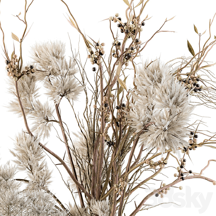 Dry plants 33 – Pampas and Dried Branch 3DS Max - thumbnail 2