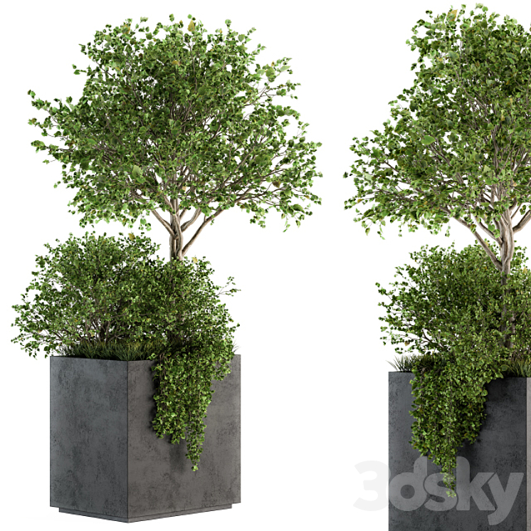 Outdoor Plants in Concrete Plant Box – Set 93 3DS Max - thumbnail 1