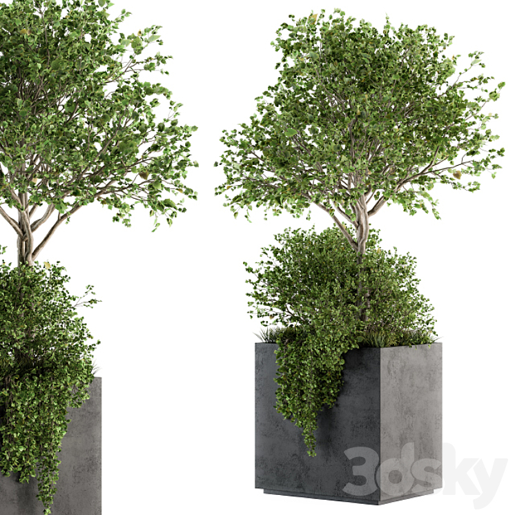 Outdoor Plants in Concrete Plant Box – Set 93 3DS Max - thumbnail 2