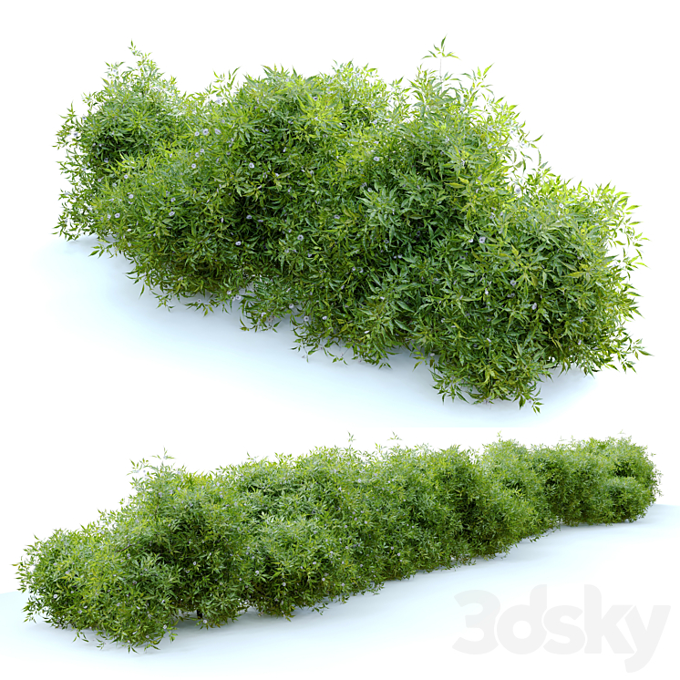 Bush 4 3D Model