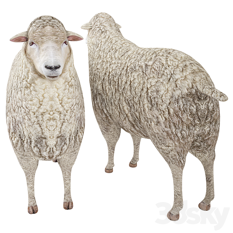 Sheep 3D Model