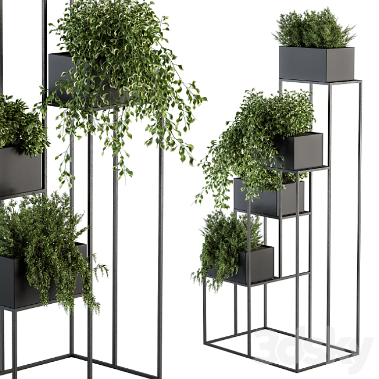 indoor Plant Set 100 – Black stand 3DS Max - thumbnail 2