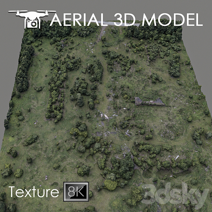Forest 60 3D Model