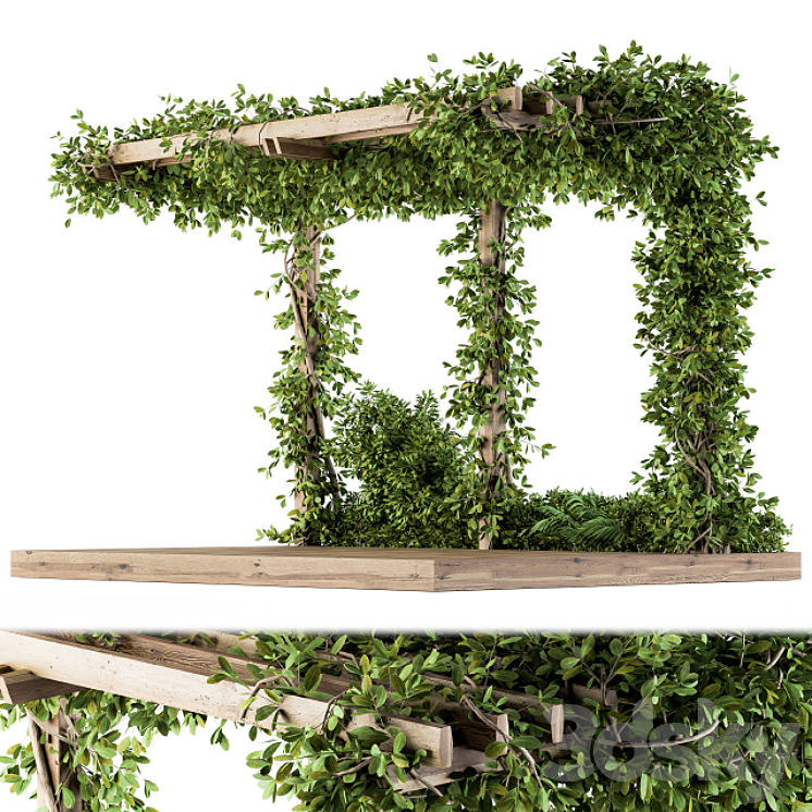 Ivy Plants on Pergola 3D Model