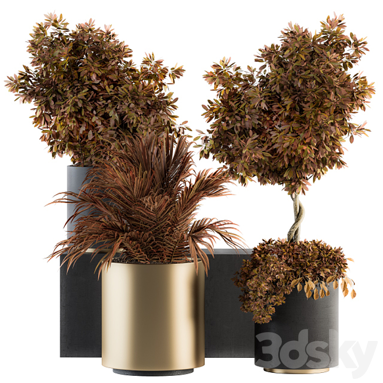 indoor Plant Set 91 – Black and Gold (Red Plant) 3DS Max - thumbnail 1