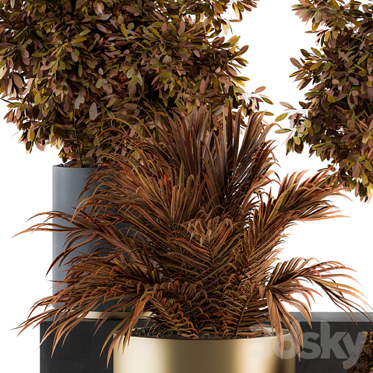 indoor Plant Set 91 – Black and Gold (Red Plant) 3DS Max - thumbnail 2