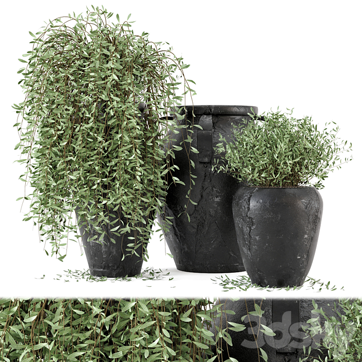 Outdoor Plants tree in rusty Concrete Pot – Set 2 3DS Max - thumbnail 1