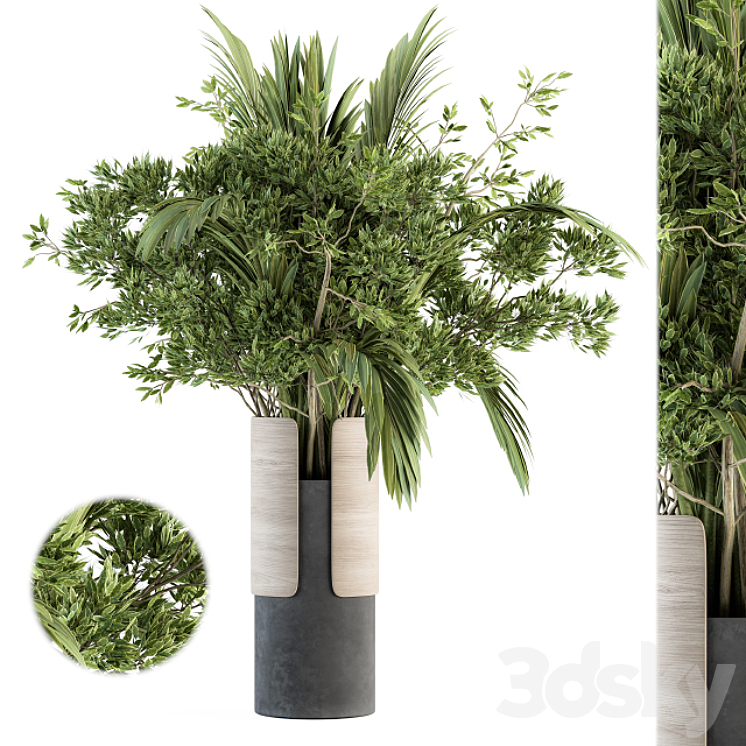 Bouquet - Branch in vase 27 Free Download