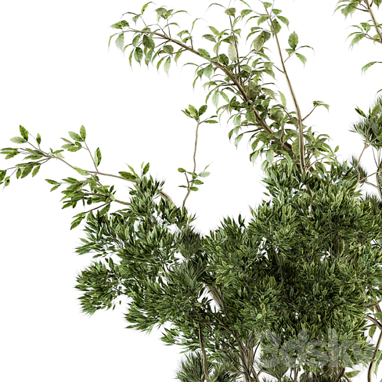 Bouquet - Branch in vase 28 3D Model