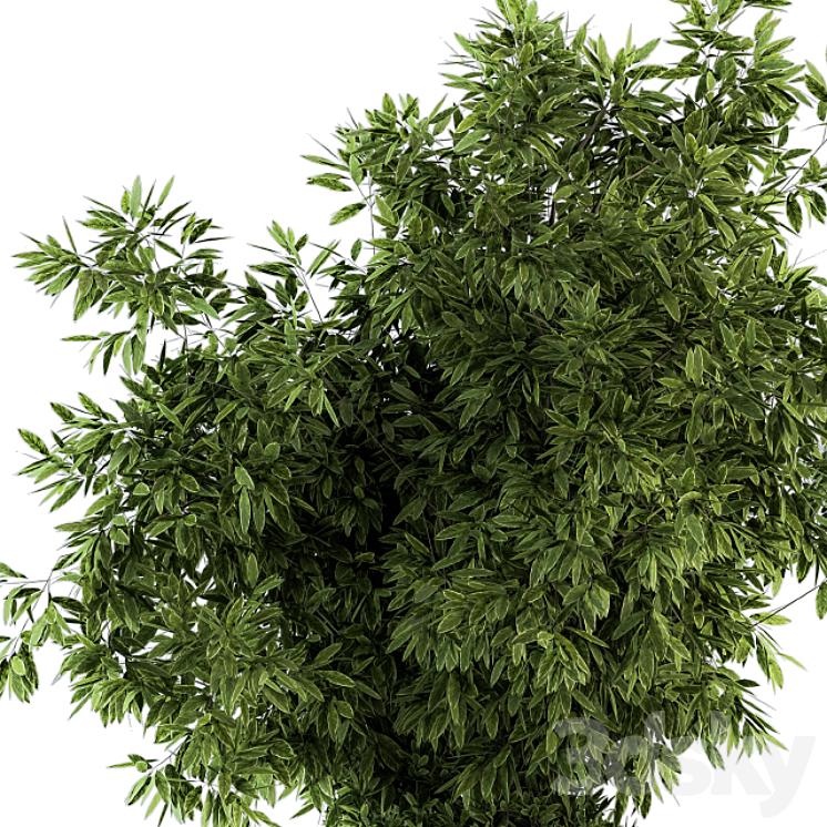 indoor Plant Set 120 - Green and White Set 3D Model