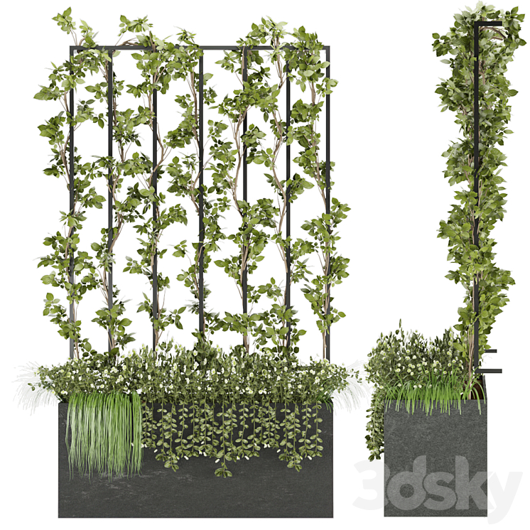Collection plant vol 36 3D Model