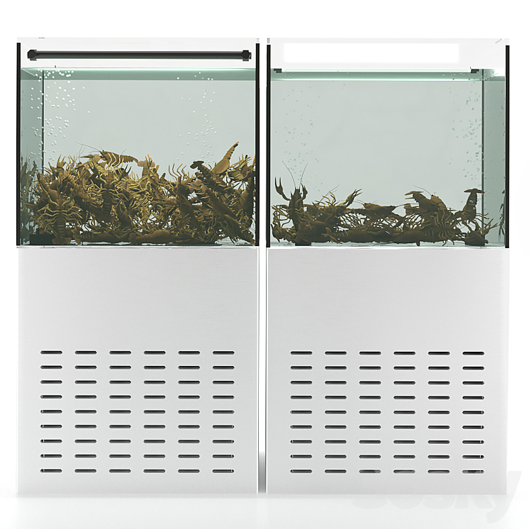 Crayfish aquarium 3D Model