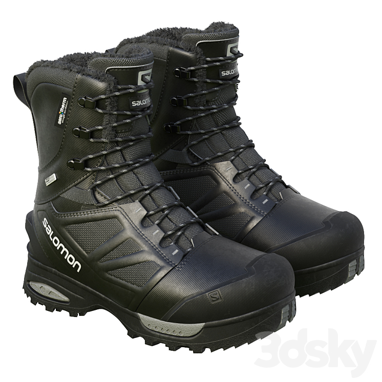 Salomon Toundra Pro - Footwear - 3D model