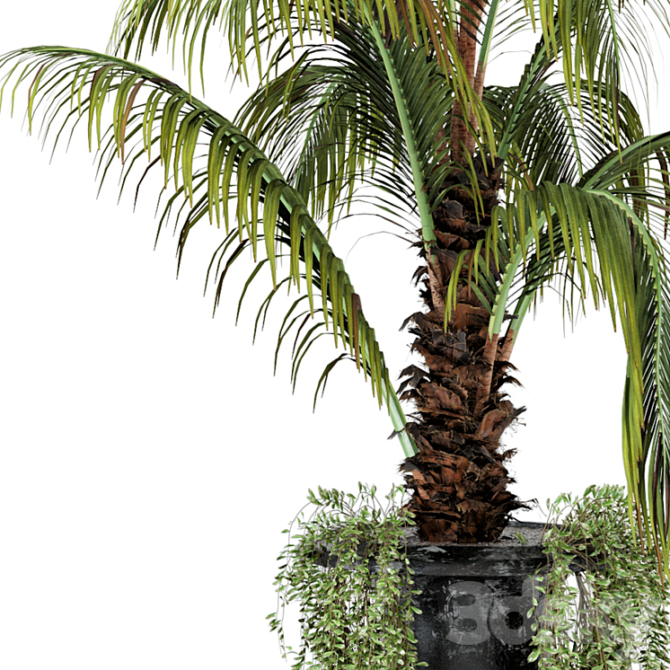 Outdoor Plants bush and Tree in rusty Concrete Pot - Set 26 3D Model
