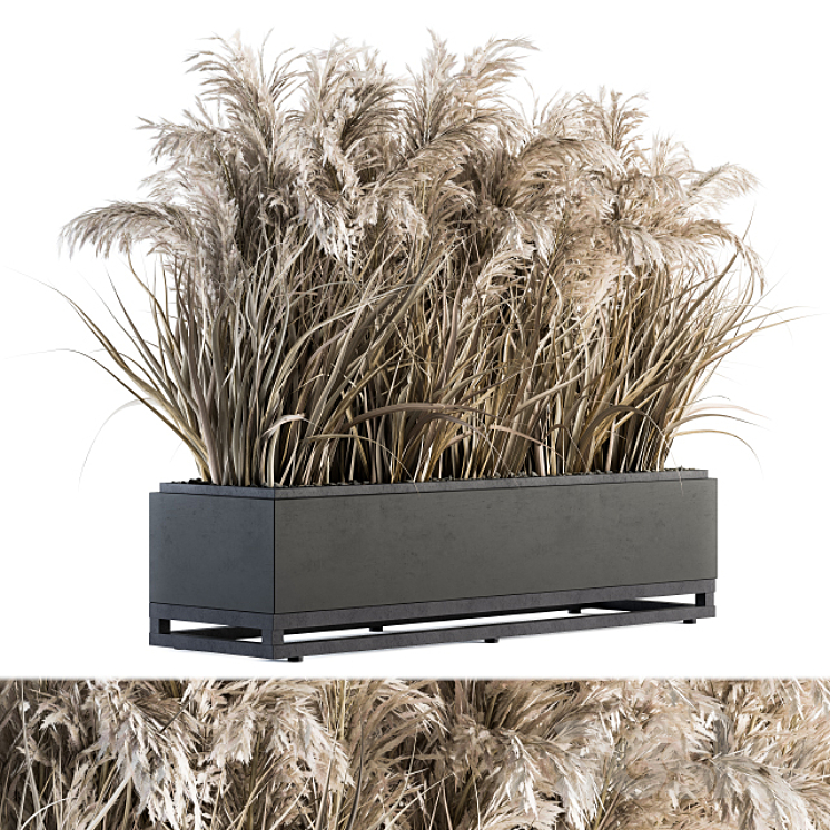 indoor Plant Set 131 – Dried Plant box 3DS Max - thumbnail 1