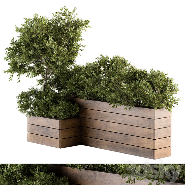 Outdoor Plants tree in Wood Box – Set 154 3DS Max - thumbnail 1