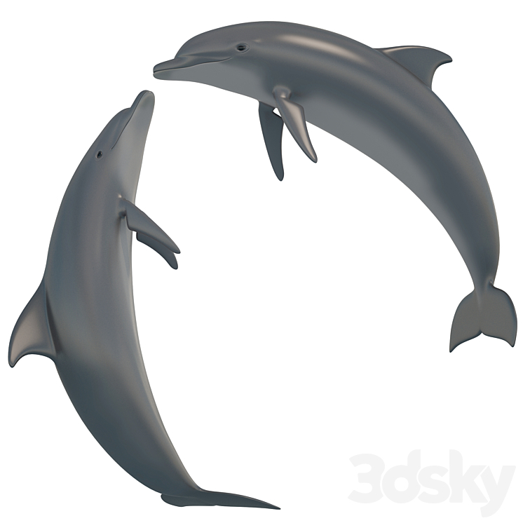 Dolphin bottlenose dolphin 3D Model