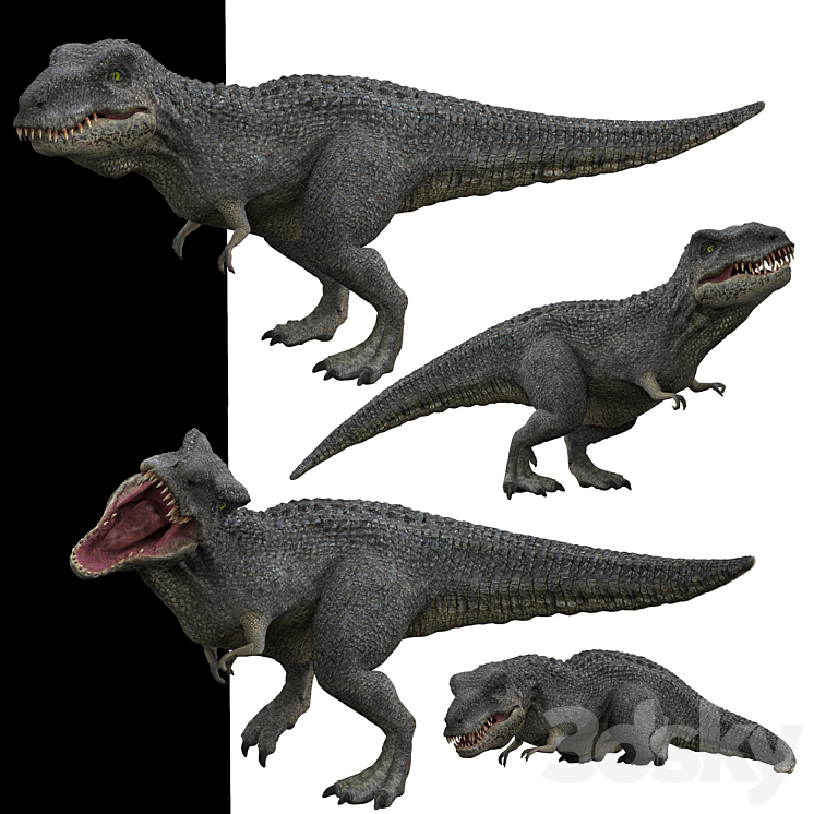 Tyrannosaurus rex 3D Model