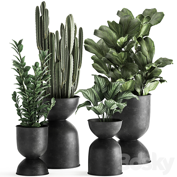 A collection of small exotic flowers in black metal pots Zamiokulkas cactus ficus. Set 887. 3DS Max - thumbnail 1