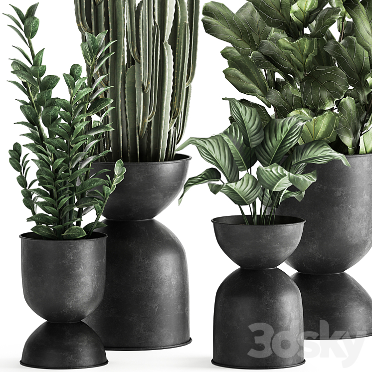 A collection of small exotic flowers in black metal pots Zamiokulkas cactus ficus. Set 887. 3DS Max - thumbnail 2