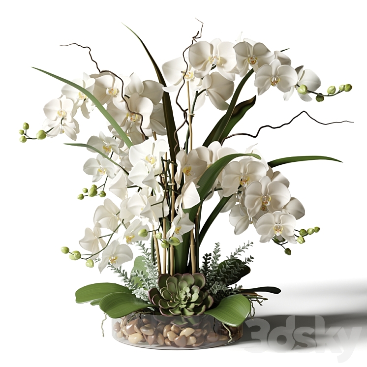 White orchids in a glass vase with stones 3DS Max - thumbnail 2