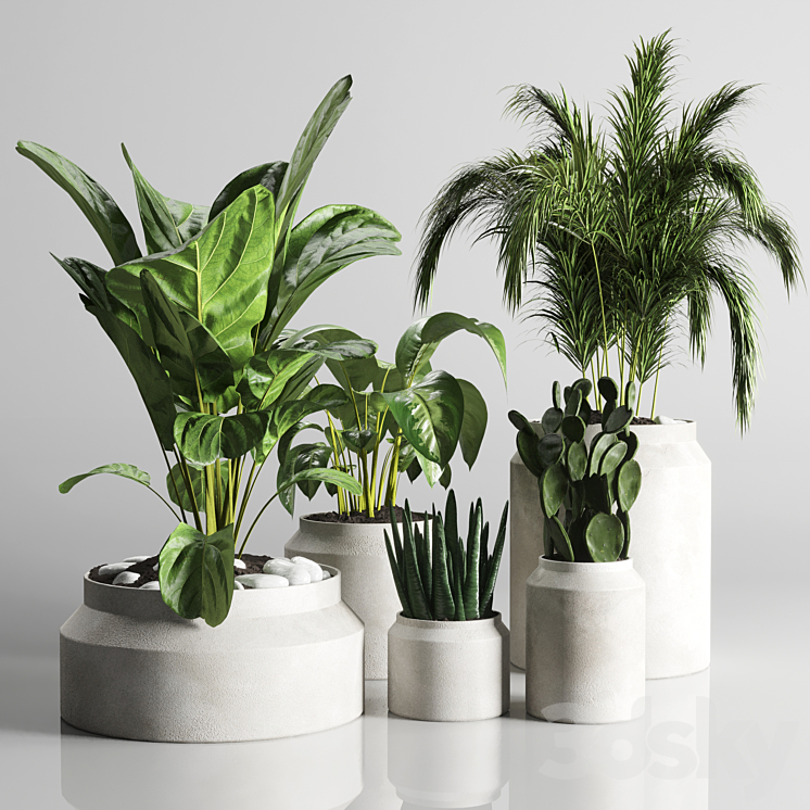 collection Indoor plant 33-concrate vase 3DS Max Model - thumbnail 1