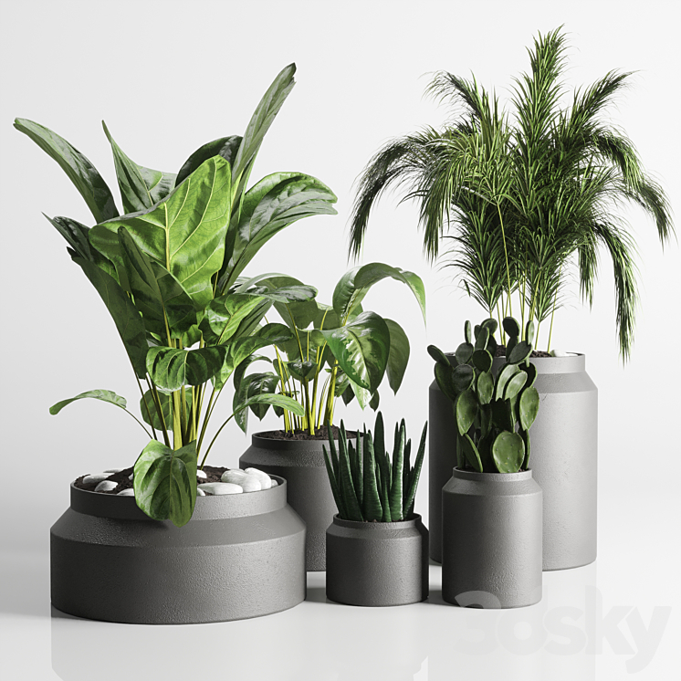 collection Indoor plant 33-concrate vase 3DS Max Model - thumbnail 2