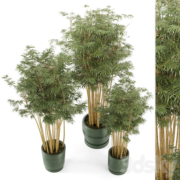 Indoor Plants Bamboo Set in rusty Concrete Pots – Set 108 3DS Max - thumbnail 1