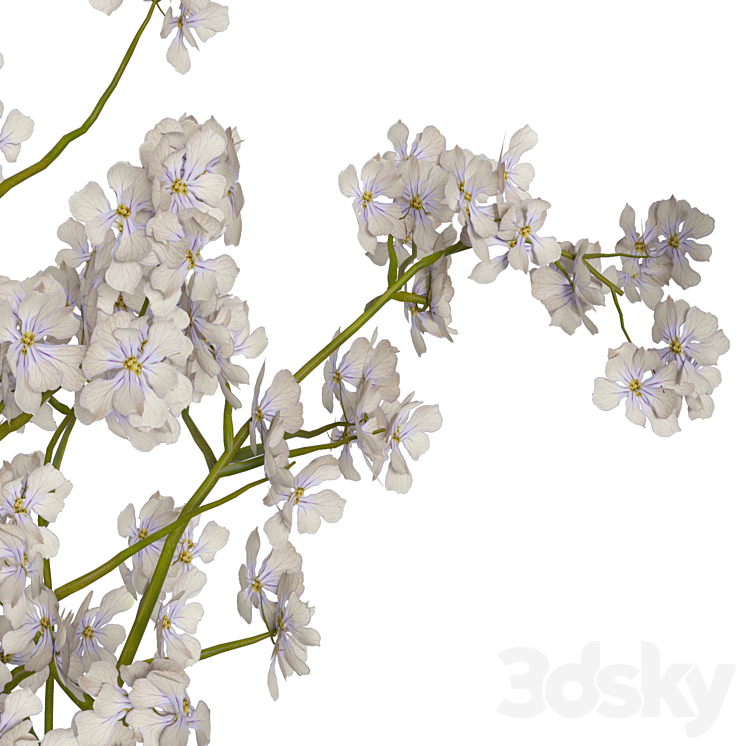 decorative set 25 3D Model