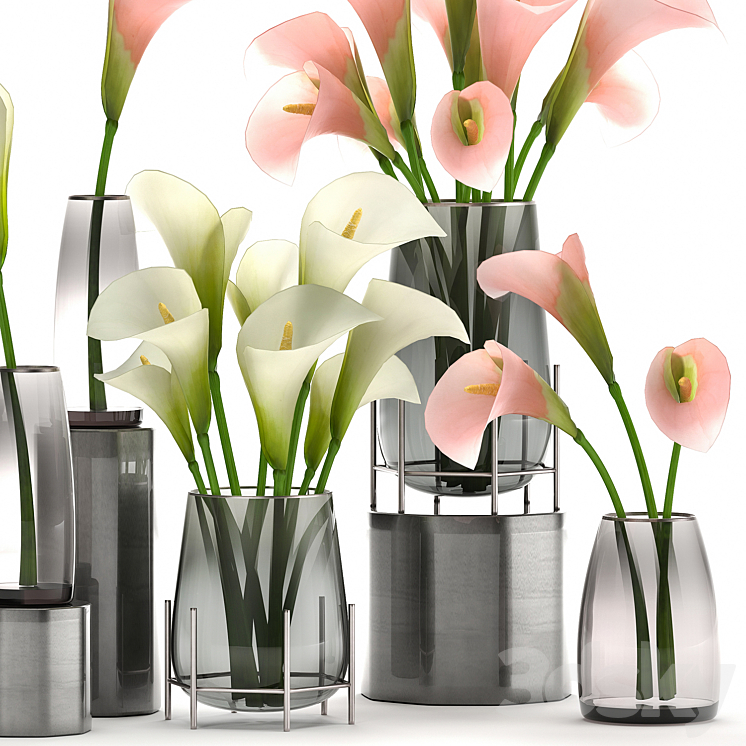 A set of bouquets of white and pink flowers in a glass vase of Calla sadovaya. 114. 3DS Max - thumbnail 2