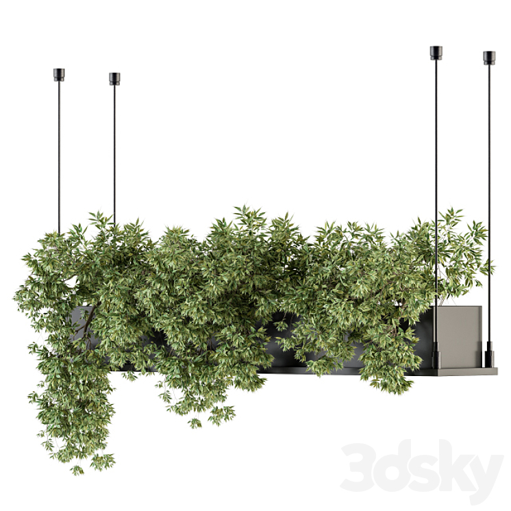 indoor Plant Set 217 – Hanging Plant Box 3DS Max - thumbnail 2