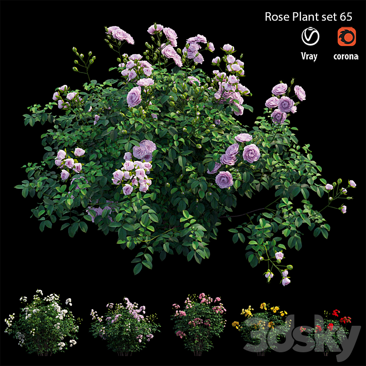 Rose plant set 65 3DS Max - thumbnail 1