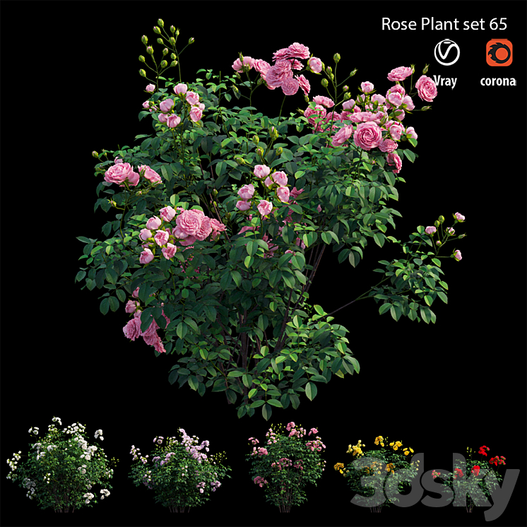 Rose plant set 65 3DS Max - thumbnail 2