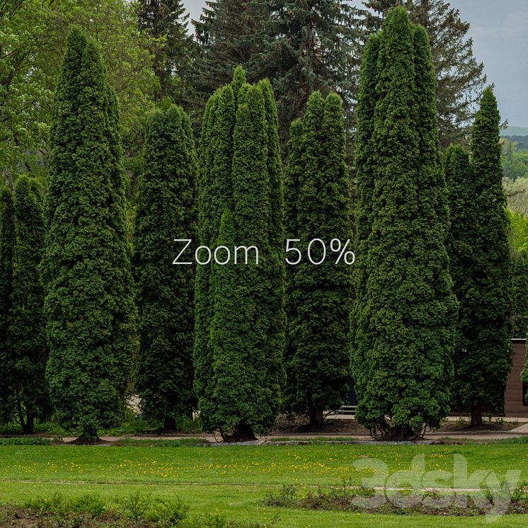 Panorama from the park. 30k 3D Model