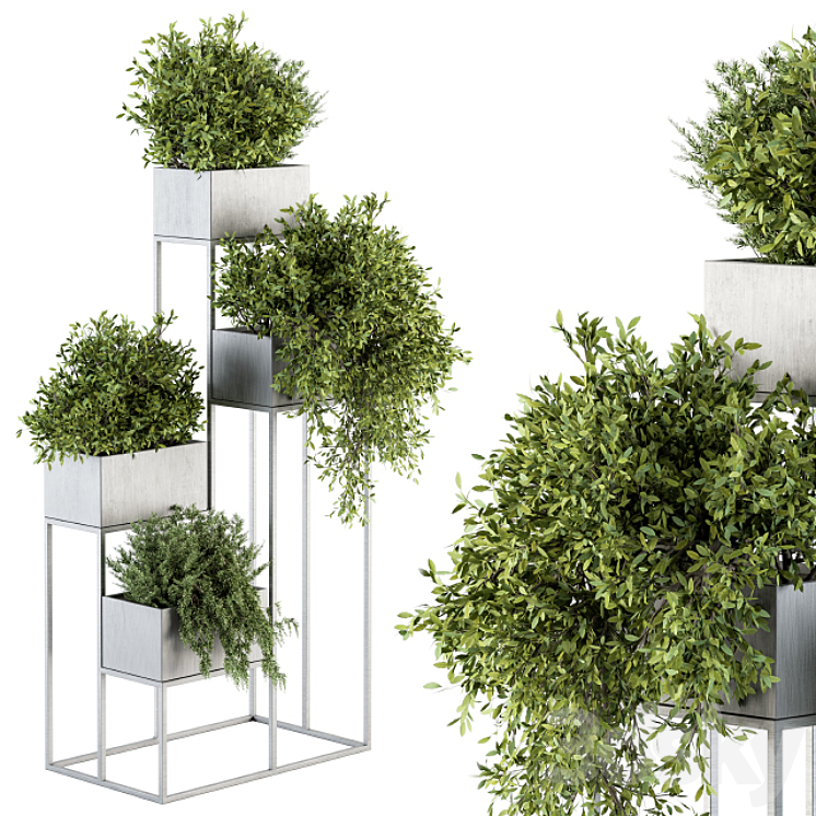 indoor Plant Set 213 – Silver Plant Stand 3DS Max - thumbnail 1