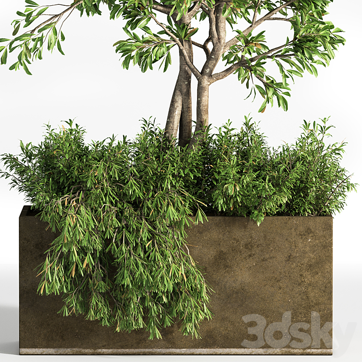 Outdoor plants tree 13 3DS Max Model - thumbnail 2