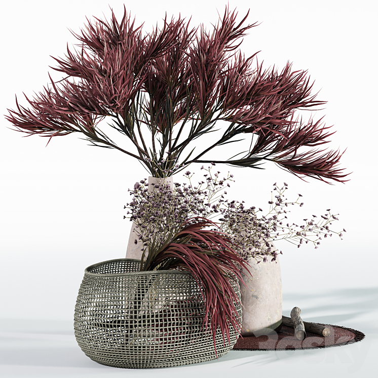Wine colored decorative set 3D Model