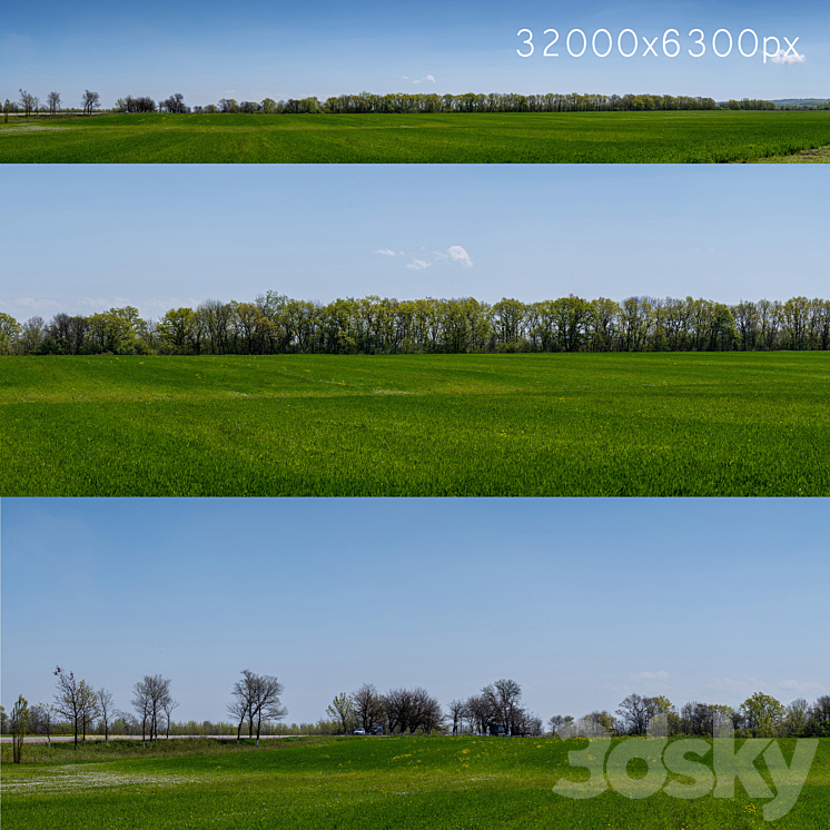 Panorama of a green field with flowers and trees. 32k 3D Model