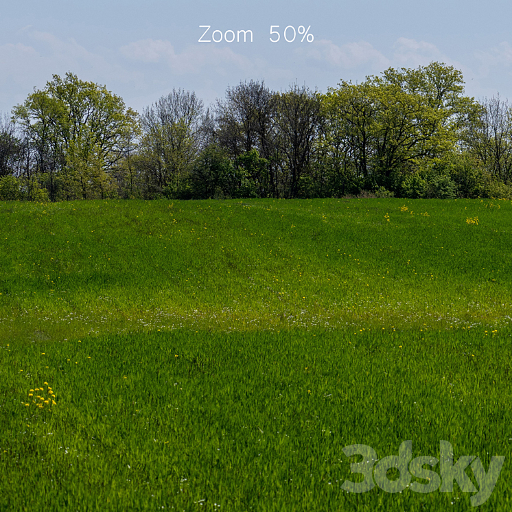 Panorama of a green field with flowers and trees. 32k 3D Model